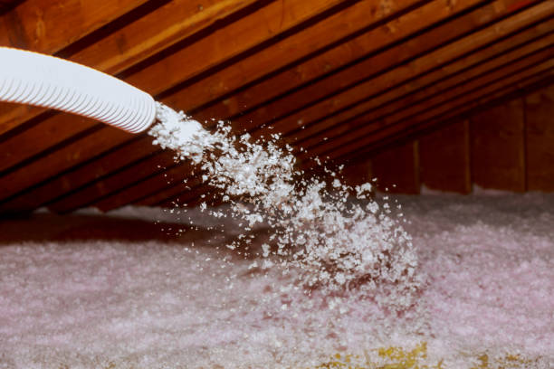 Types of Insulation We Offer in Robert Lee, TX
