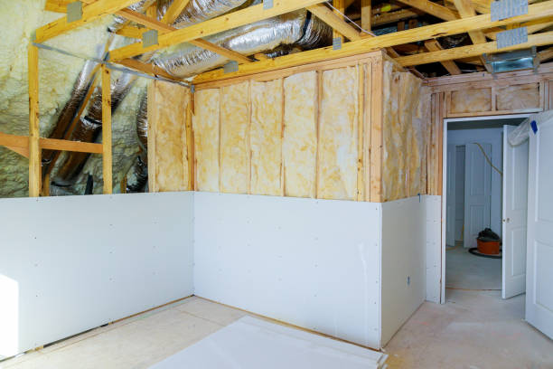 Best Insulation Maintenance and Repair in Robert Lee, TX