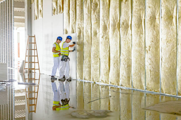 Best Spray Foam Insulation in Robert Lee, TX